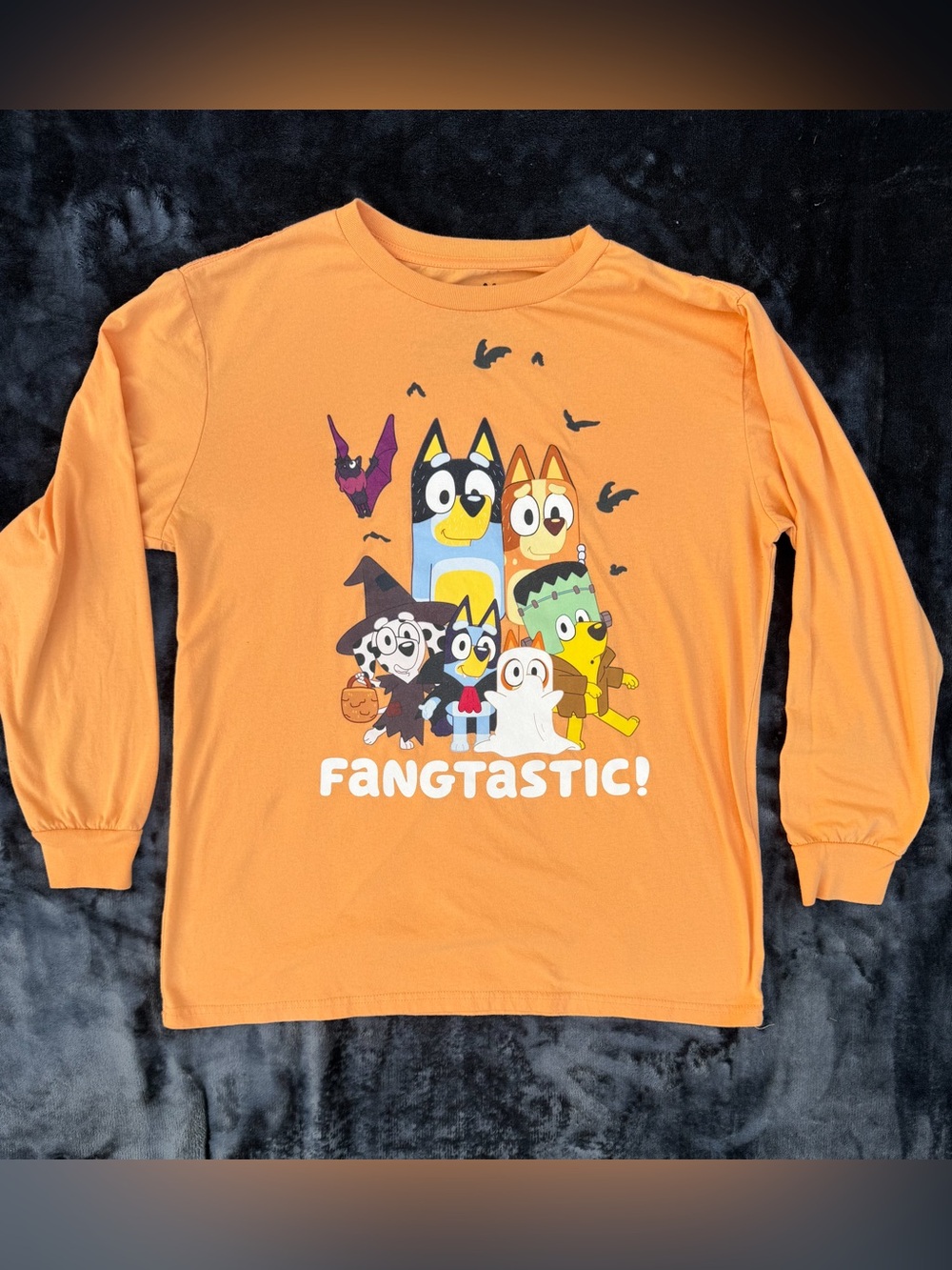Bluey Halloween Fangtastic Graphic Orange Long Sleeve Shirt Adult Large Teacher
